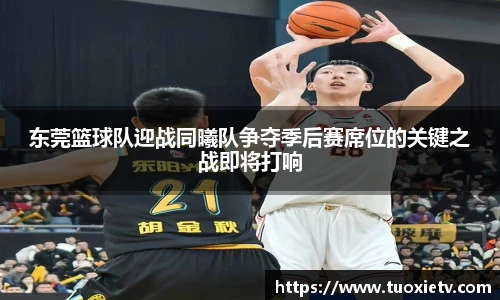 东莞篮球队迎战同曦队争夺季后赛席位的关键之战即将打响
