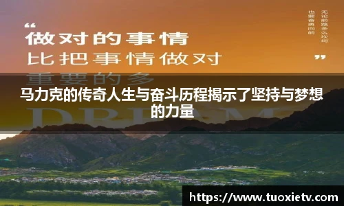 马力克的传奇人生与奋斗历程揭示了坚持与梦想的力量