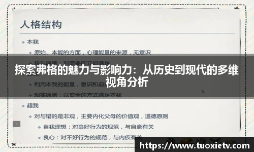 探索弗格的魅力与影响力：从历史到现代的多维视角分析